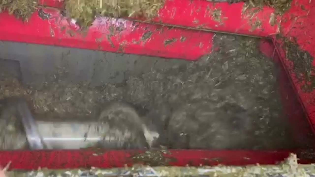 Descubre los beneficios del biomix para tu salud