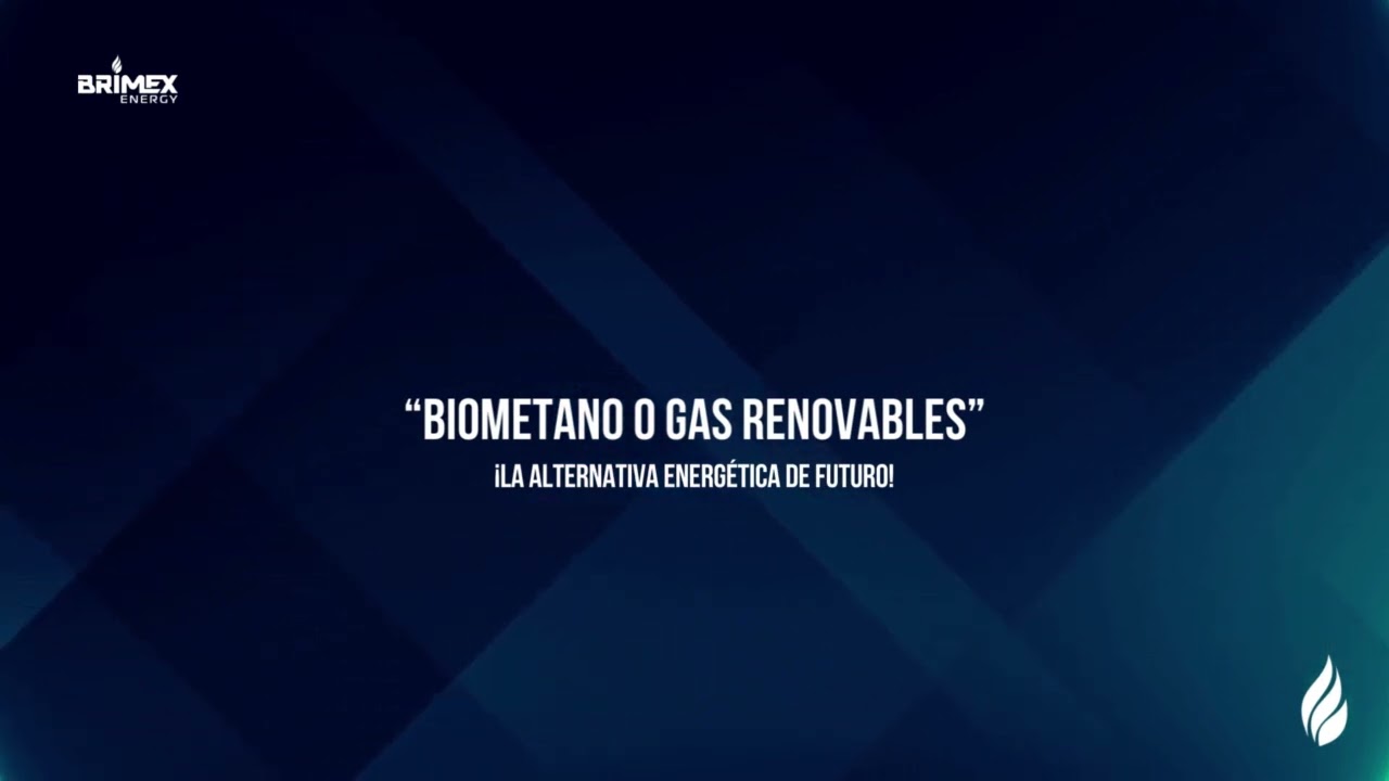 Descubre los beneficios del suplemento Brimex