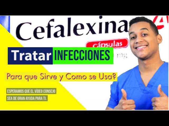 Todo lo que necesitas saber sobre Cefalver cefalexina