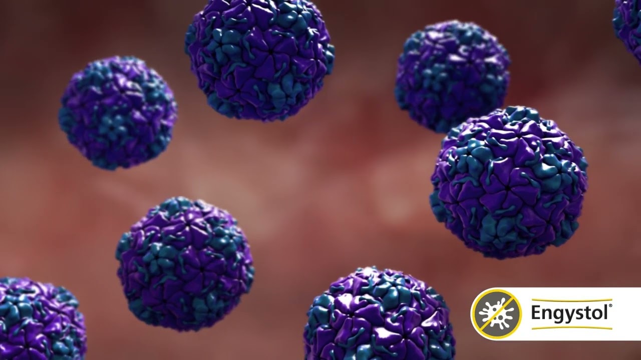 Descubre cómo el engystol promueve tu salud
