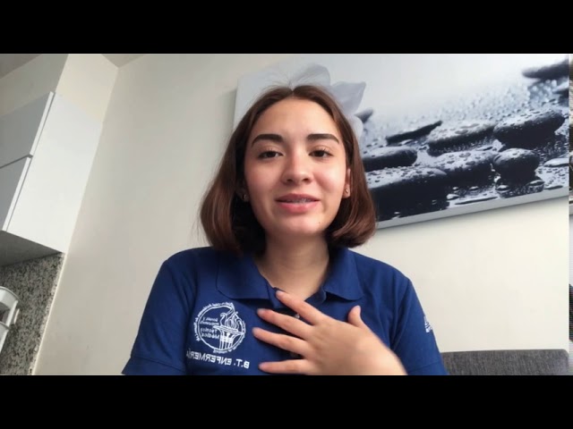 Todo lo que necesitas saber sobre el gristalit