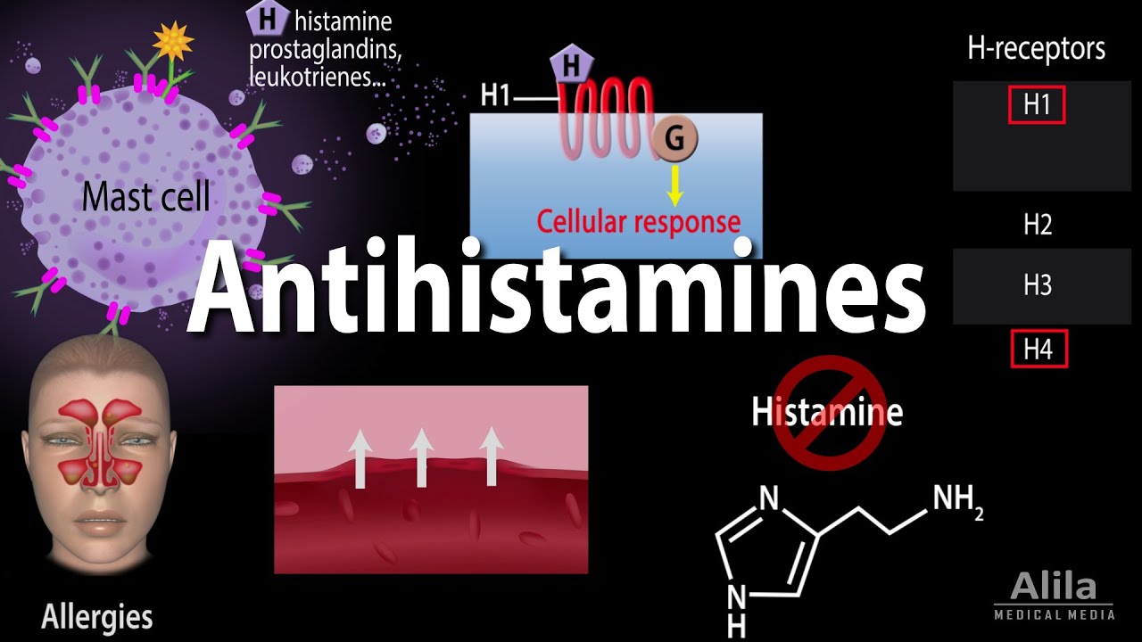 Todo lo que necesitas saber sobre L-Histamin
