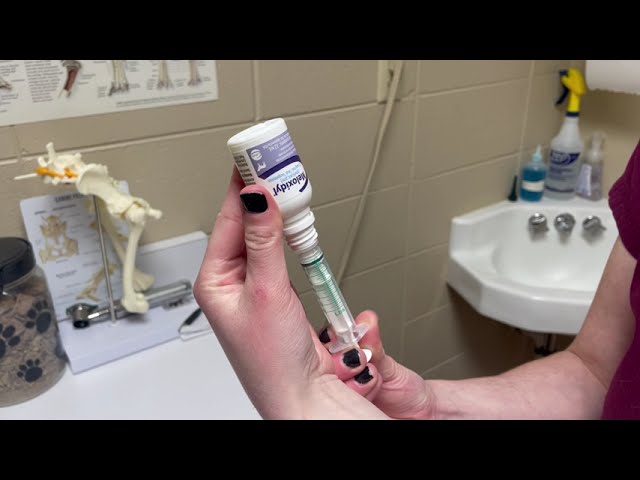 Todo lo que debes saber sobre la suspensión de meloxicam