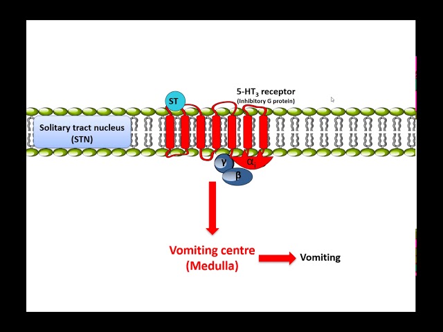 Usos y beneficios de Metoclop: Guía completa