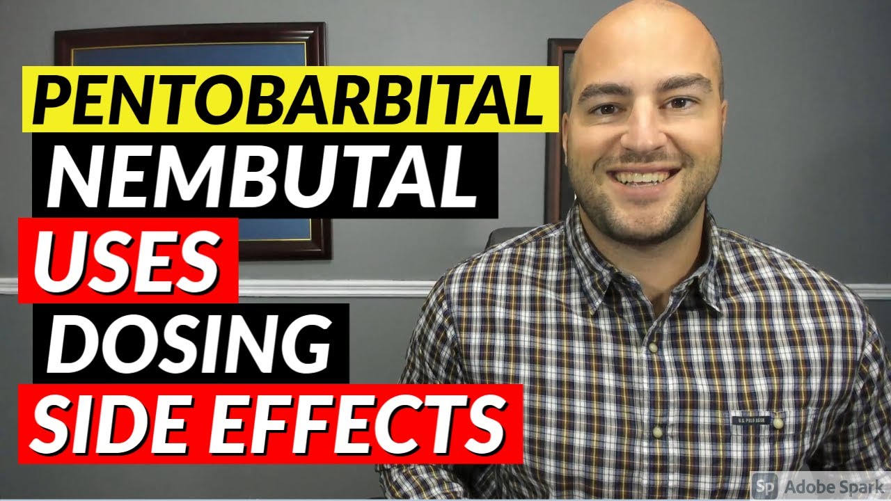 Todo lo que debes saber sobre el pentobarbital veterinario