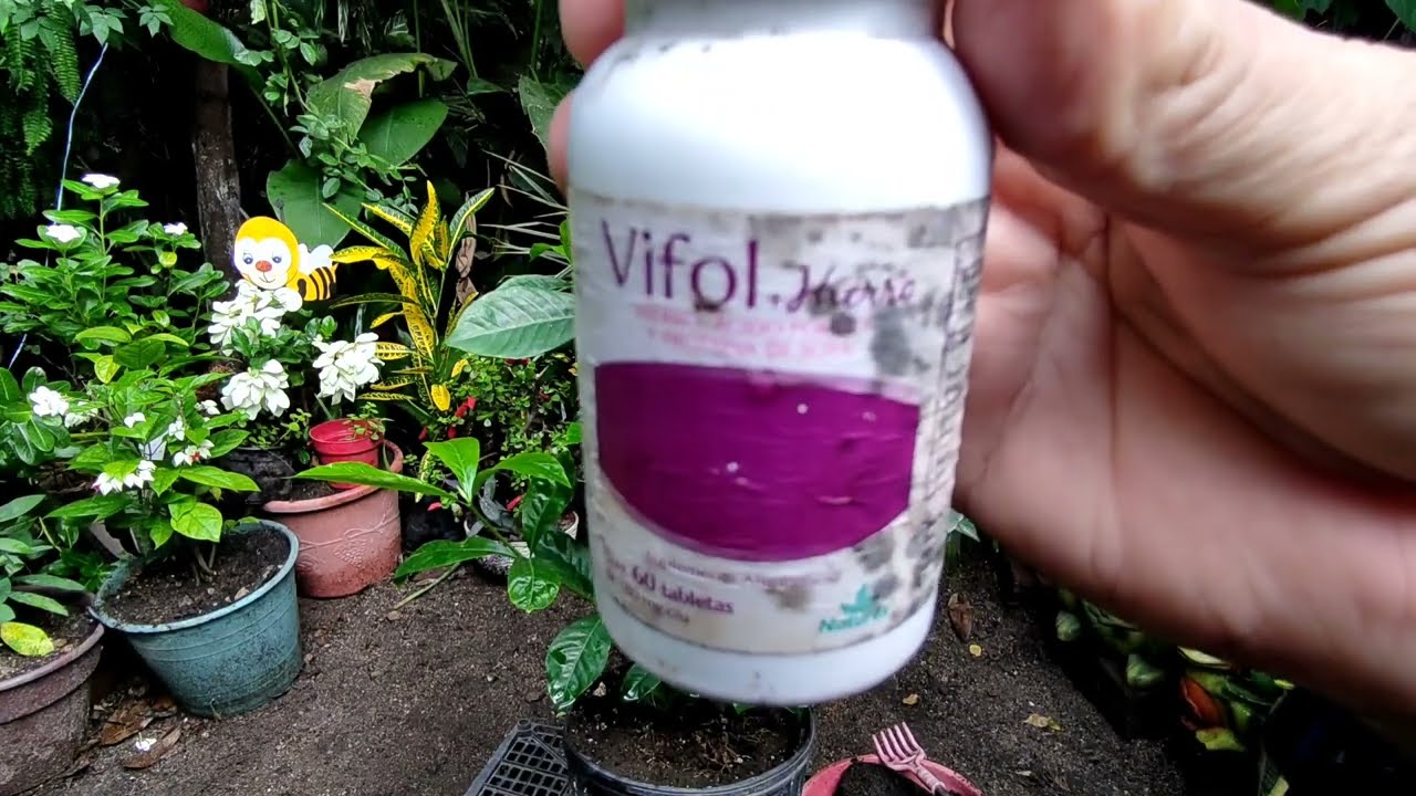 Beneficios del Vifol Hierro en tu salud